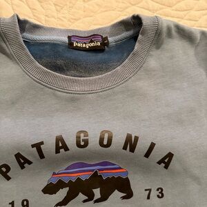 Patagonia Blue Graphic Sweater